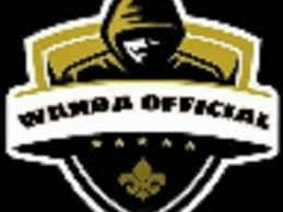 Wanda Official Injector APK APK